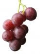grape bunch