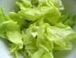 lettuce