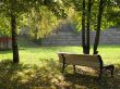 A bench in autumn park