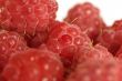 raspberry