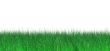 lawn of green juicy grass