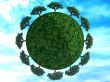 trees on earth