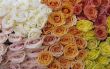beautiful bouquet from the roses