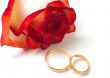 ragile rose and two wedding rings