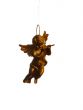 goldish angel