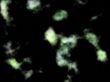 gas nebula