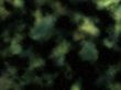 green gas