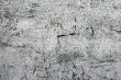 Texture