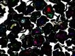 shiny dark shapes with reflected colour