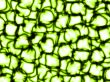 Lime quench cubes
