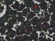 coal shapes with tiny coloured squares
