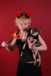 The Devil and the puppy