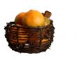 Tangerines in Barbed-Wire Basket