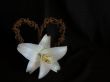 Lily with Rusted Barbed-Wire Heart