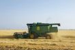 combine on wheat field