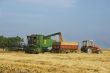 combine and tractor on harvest wheat field