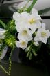 Wedding car decorations with flower bouquet