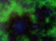 green blue spatter