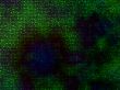 green and blue embossed