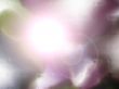 light glare