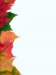 autumn border
