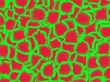 red and green texture