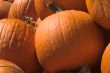 Pumpkins