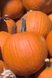 Pumpkins