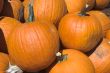 Pumpkins