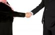 business couple shaking hands - full bodies