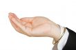 business hand holding something of your choice
