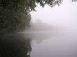 Misty morning