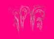 pink and fractal flames
