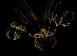 insect shaped fractal abstract