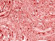 material slice abstract