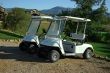 Carts in golf club