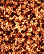 Lava illustration