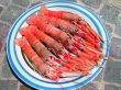 Five norvegian lobsters