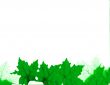 Green Leaves Design