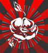Rose on a striped background