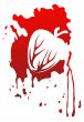 Heart and blood