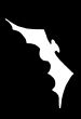 Bat Flying