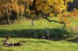 Picturesque autumn landscape of river and bright trees and bushes
