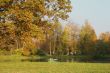 Picturesque autumn landscape of river and bright trees and bushes