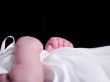 Little Hands