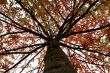 Autumn.
