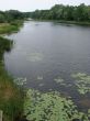 Deep calm river waters near forest