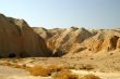 arava desert - dead landscape, background