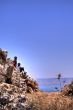 Galilee landscape