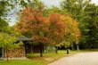 Autumn park